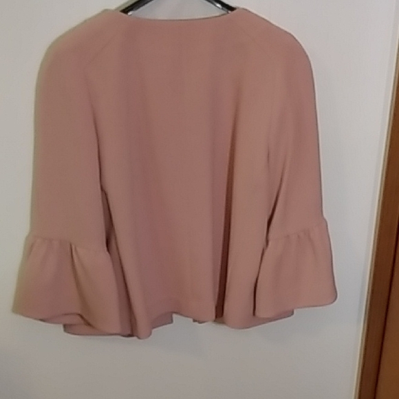 Ann Taylor Soft Pink Blazer - Picture 7 of 7